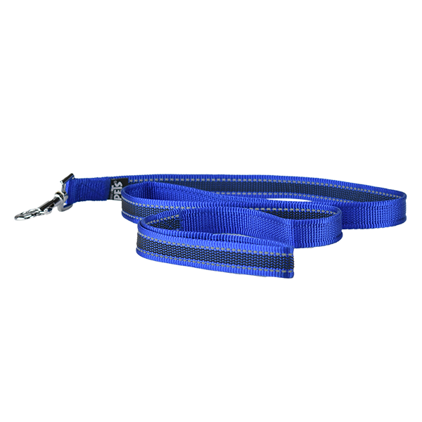 CORREA MEDIANA FANCY PETS