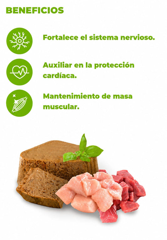 NUPEC HÚMEDO INDOOR
