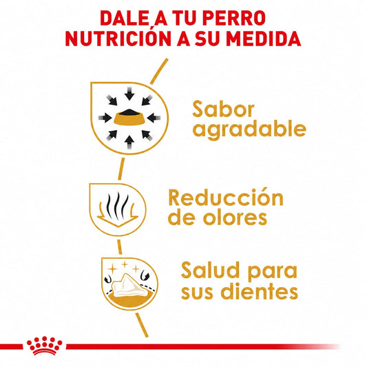 ROYAL CANIN CHIHUAHUA ADULT