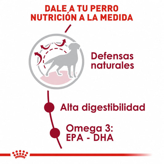 ROYAL CANIN MEDIUM ADULT