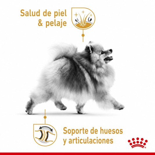 ROYAL CANIN POMERANIAN ADULT