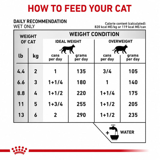 ROYAL CANIN URINARY SO FELINE LATA