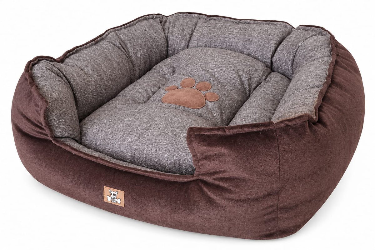 CAMA