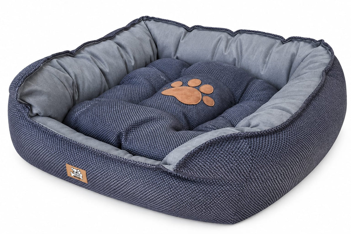 CAMA