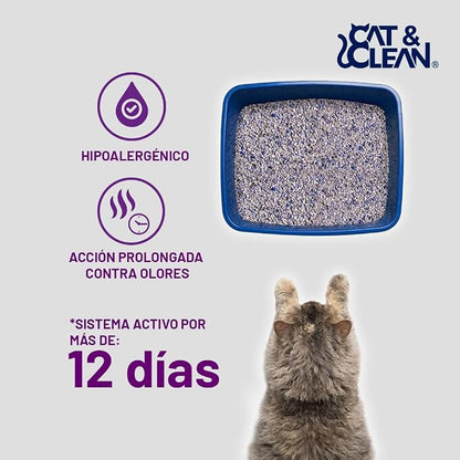 CLEANKATS ARENA PREMIUM