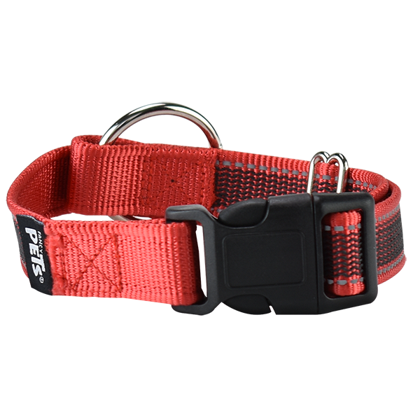 COLLAR FANCY PETS