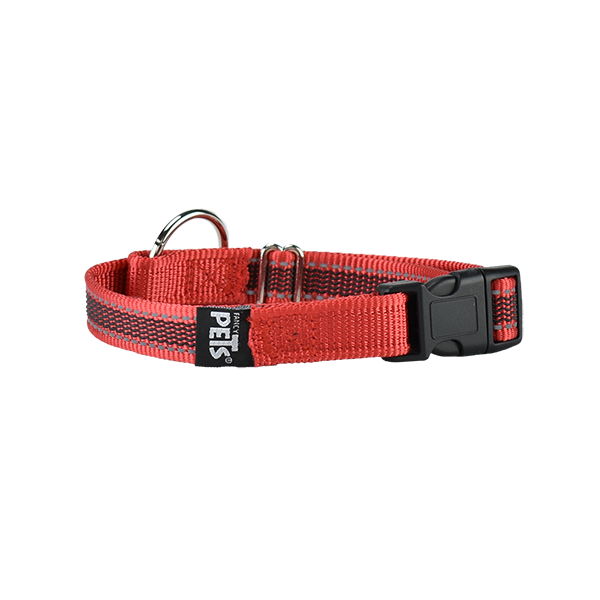 COLLAR FANCY PETS