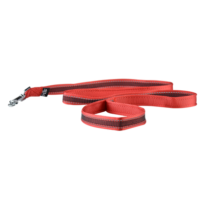 CORREA MEDIANA FANCY PETS