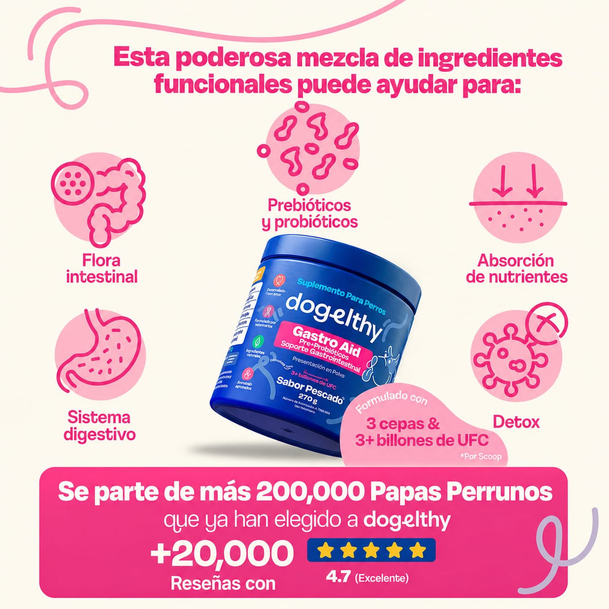 DOGELTHY GASTRO AID PESCADO