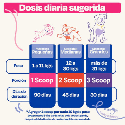 DOGELTHY GASTRO AID PESCADO