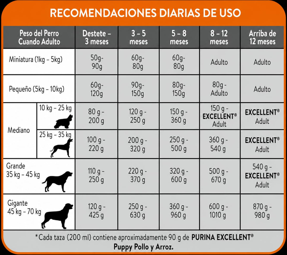 EXCELLENT CACHORRO
