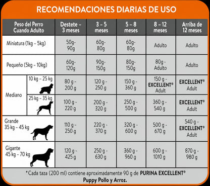 EXCELLENT CACHORRO