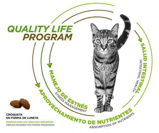 NUPEC INDOOR GATO ADULTO