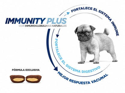 NUPEC FIRST CARE
