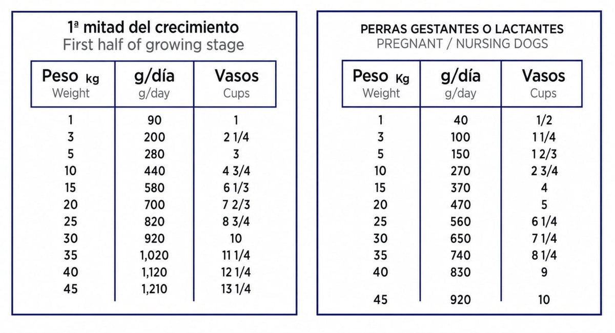 NUPEC FIRST CARE