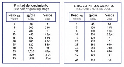 NUPEC FIRST CARE