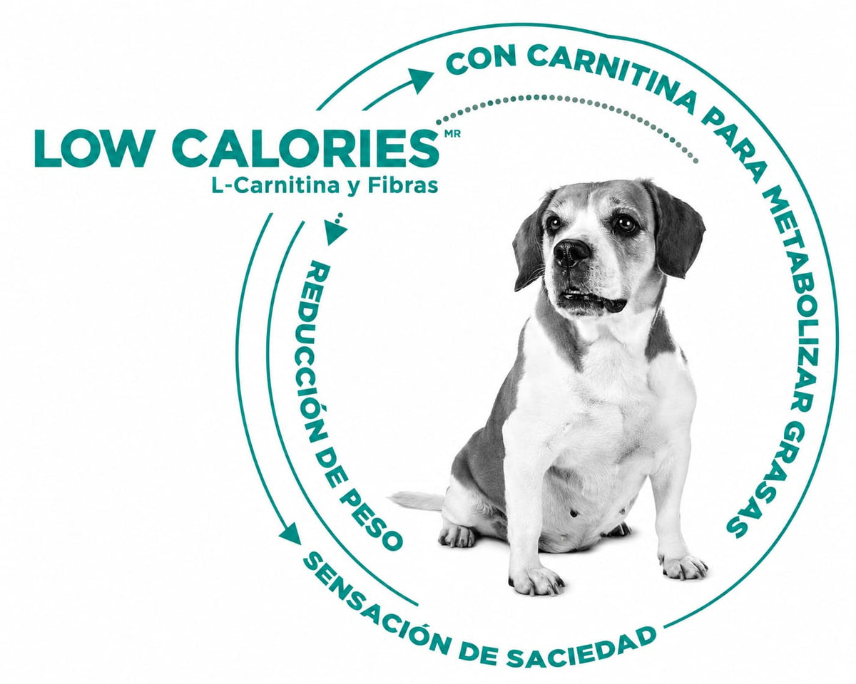 NUPEC WEIGHT CONTROL