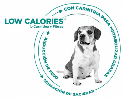 NUPEC WEIGHT CONTROL