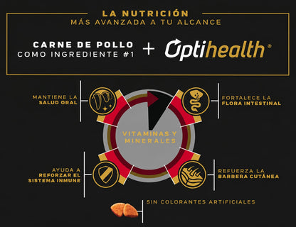 PRO PLAN ADULTO RAZA MEDIANA