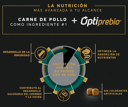 PRO PLAN GATITO