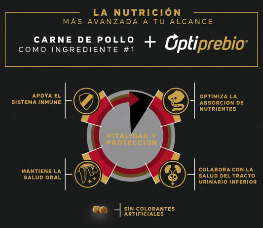 PRO PLAN GATO ADULTO