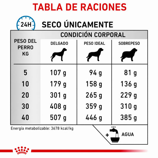 ROYAL CANIN ANALLERGENIC