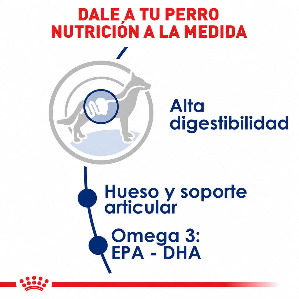 ROYAL CANIN LARGE ADULT