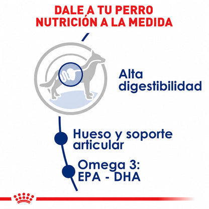 ROYAL CANIN LARGE ADULT