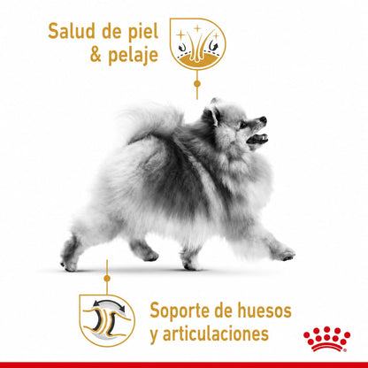 ROYAL CANIN POMERANIAN ADULT