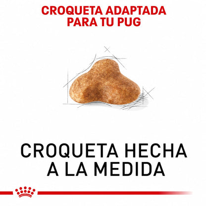 ROYAL CANIN PUG ADULT